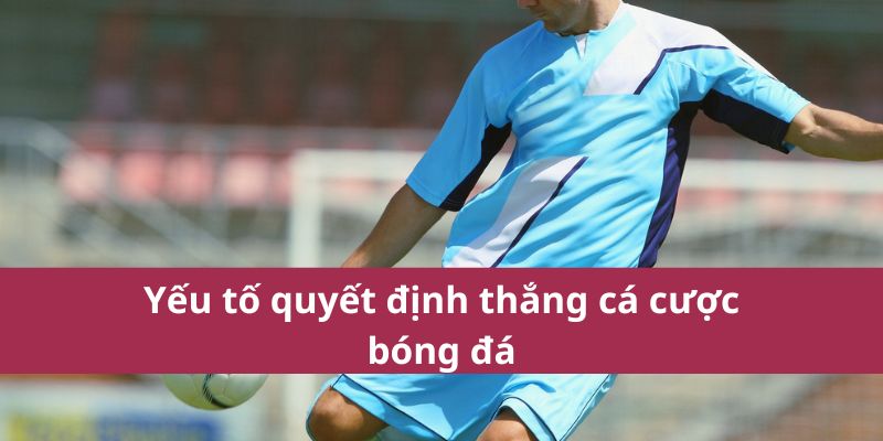 Yếu tố quyết định thắng cá cược bóng đá