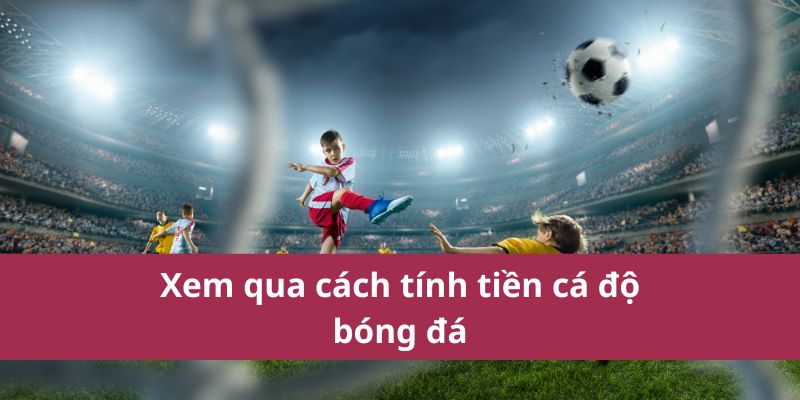 Xem qua cách tính tiền cá độ bóng đá