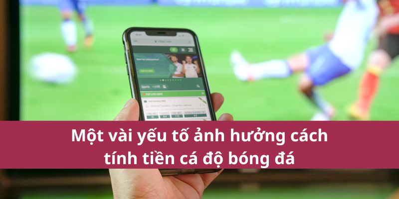 Một vài yếu tố ảnh hưởng cách tính tiền cá độ bóng đá