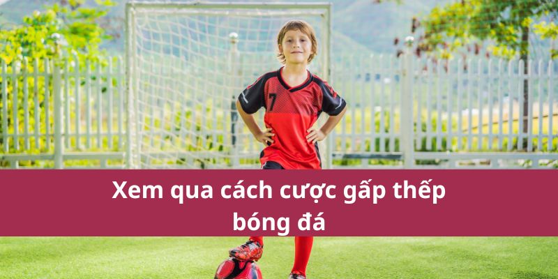 Xem qua cách cược gấp thếp bóng đá