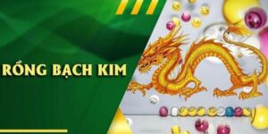 dan de rong bach kim add